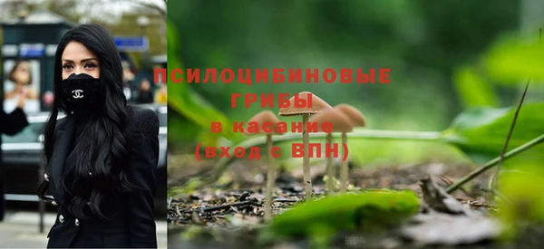 прущая мука Каменка