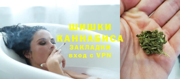 прущая мука Каменка