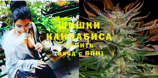 прущая мука Каменка