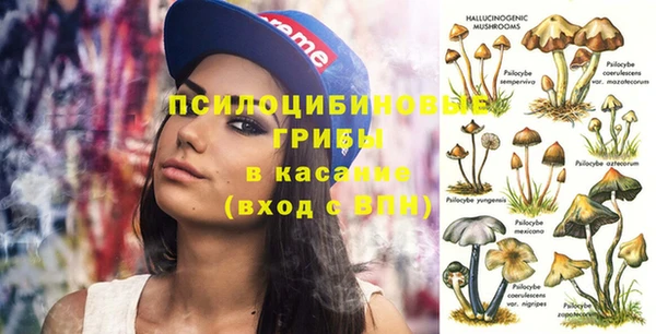 прущая мука Каменка