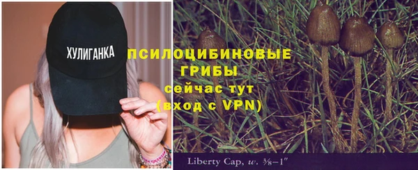прущая мука Каменногорск