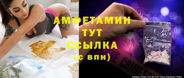 PSILOCYBIN Иннополис