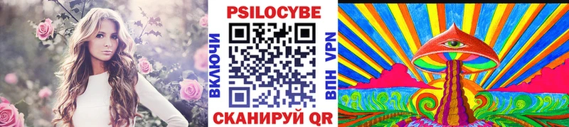 Галлюциногенные грибы MAGIC MUSHROOMS  сайты даркнета какой сайт  Курильск  купить наркотики сайты 