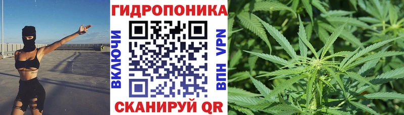 Марихуана SATIVA & INDICA KRAKEN рабочий сайт Курильск